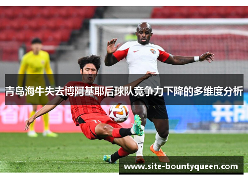 青岛海牛失去博阿基耶后球队竞争力下降的多维度分析 青岛海牛失去博阿基耶后球队竞争力下降的多维度分析