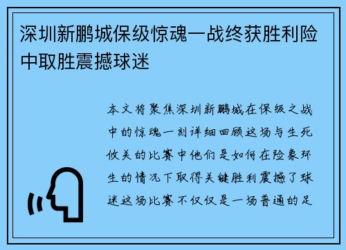 深圳新鹏城保级惊魂一战终获胜利险中取胜震撼球迷 深圳新鹏城保级惊魂一战终获胜利险中取胜震撼球迷